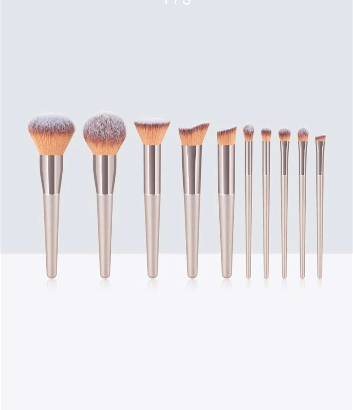 10 pc makeup brush set with makeup bag